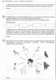 Впр по биологии 11 ответы