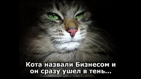 Выходи без мата