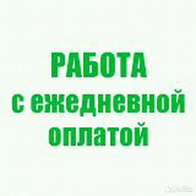 Рабочий ежедневными выплатами. Работа с ежедневной оплатой. Подработка с ежедневной оплатой. Вакансии с ежедневной оплатой. Работа подработка с ежедневной оплатой.