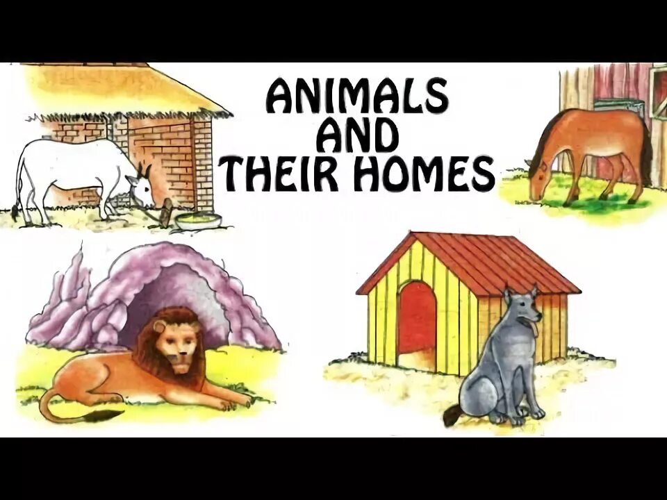 Animals and their Homes. Shelter Flashcard. Shelter picture for Kids. Анимал шелтер рисунок карандашом. Some animals go to a shelter