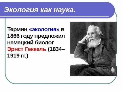 Термин экология впервые ввел в науку