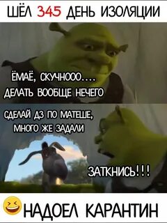 День изоляции
