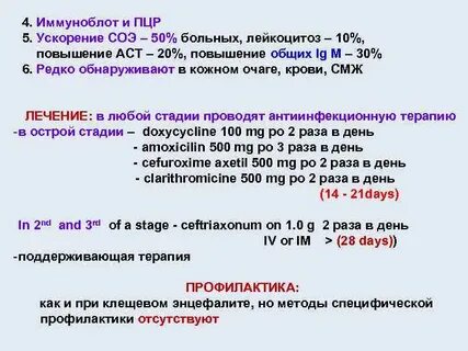 Иммуноблот антител