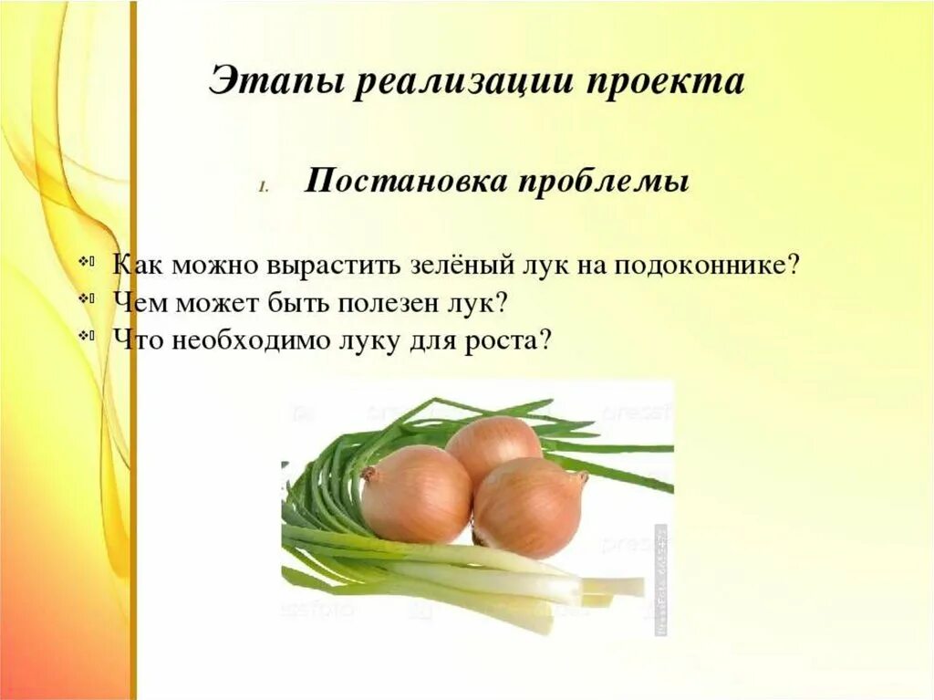 Лук проект младшая группа Проект лук средняя группа