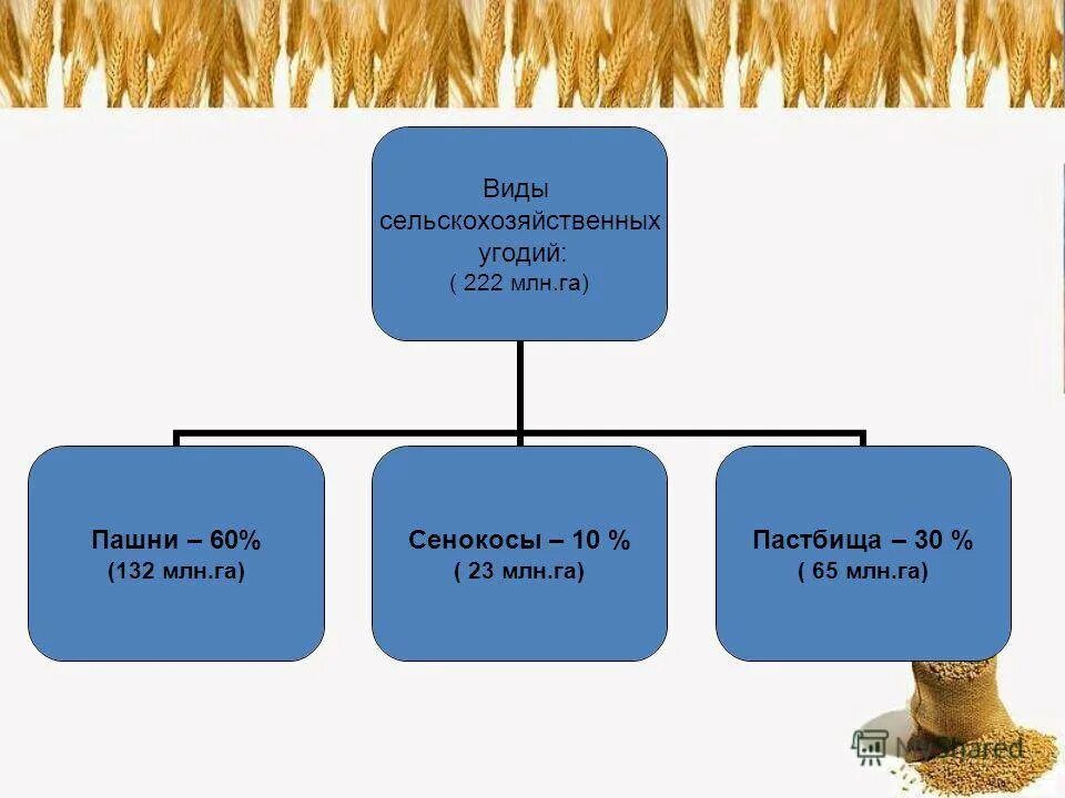 Классификация СХ угодий. Виды сельскохозяйственных угодий схема. Сельскохозяйственные угодья схема. Классификация земель по угодьям. Что значит сх