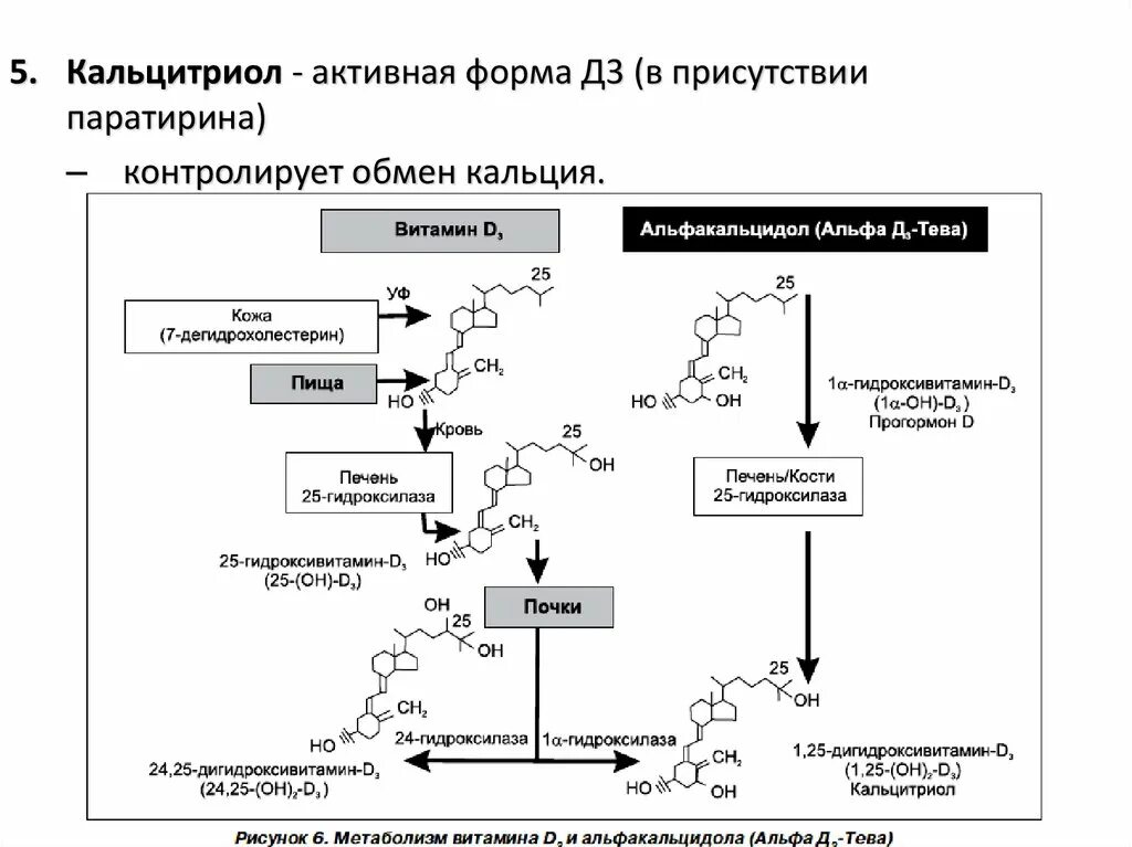 Активные формы в 3