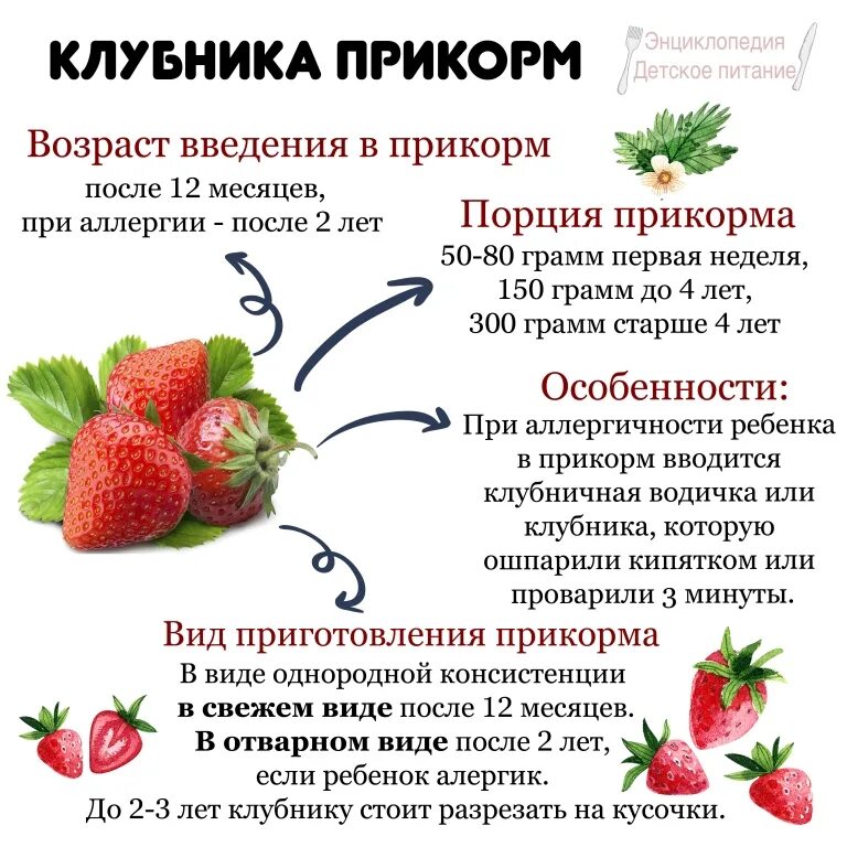 Можно ли клубнику при похудении. Клубника в прикорм грудничку. Когда можно клубнику ребенку. Ягоды в рационе детей.