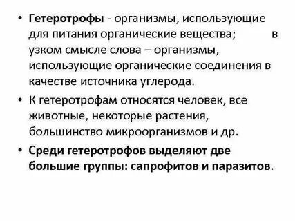 К гетеротрофам относятся