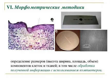 Отправить на гистологию