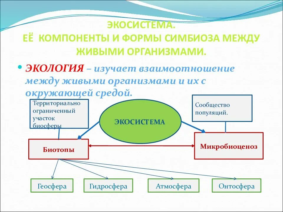 Уровни взаимодействия и окружающей среды. Взаимосвязи организмов и окружающей среды. взаимодействие с окружающей средой. взаимоотношения организмов с окружающей средой. взаимосвязь живых организмов с окружающей средой.