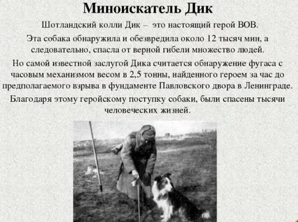Рассказ спасающий жизни