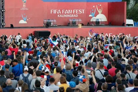Фест калининград