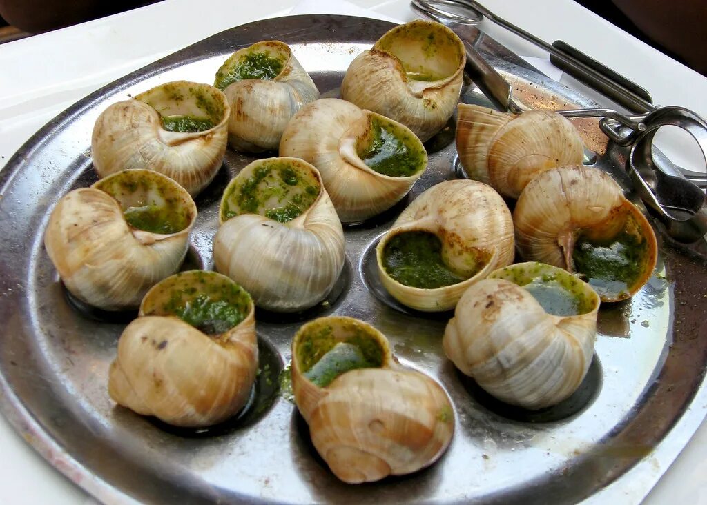 Улитка Виноградная escargots. Эскарго Франция. Эскарго де псковиньон. Бургундские улитки.