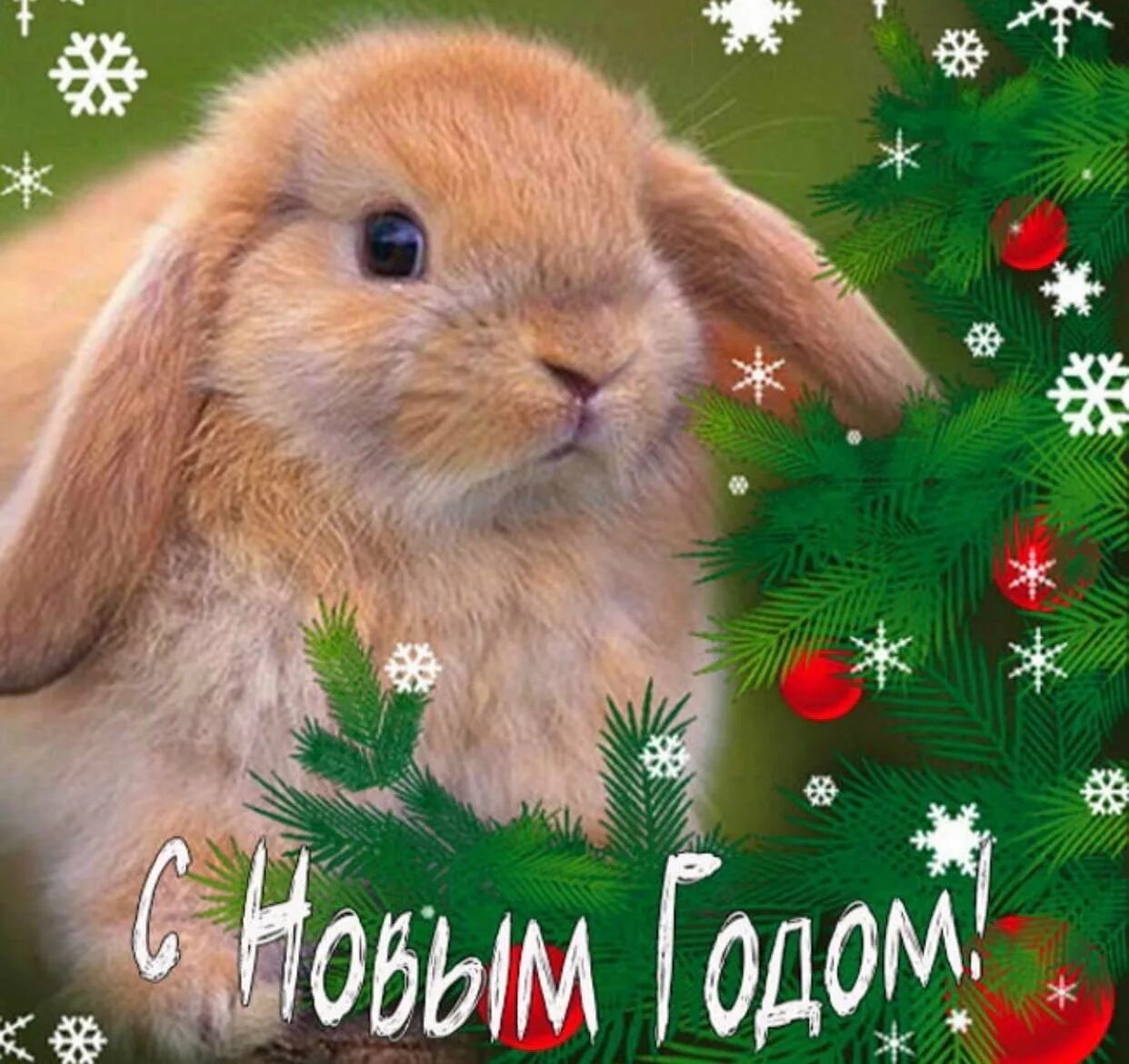 С новым годом кролика. Кролик новый год. Поздравление с новым годом кролика. Новогодний заяц.