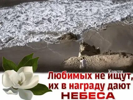 Любимых дают небеса