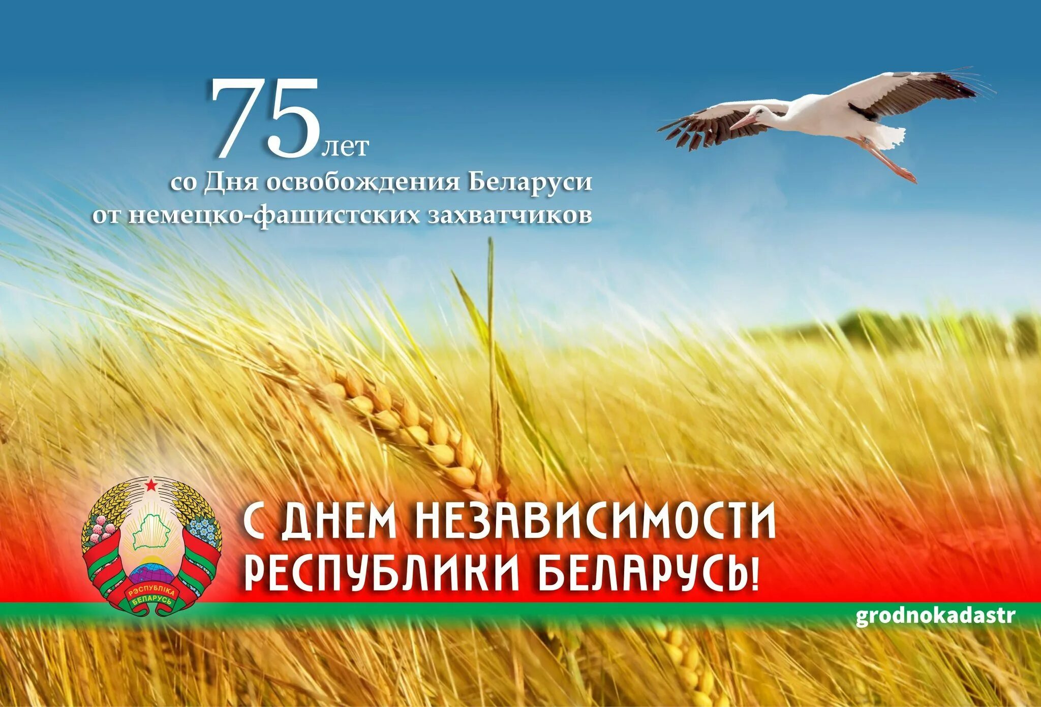 Плакаты рб