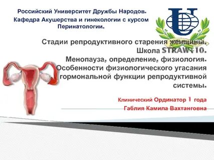 Старение репродуктивной системы
