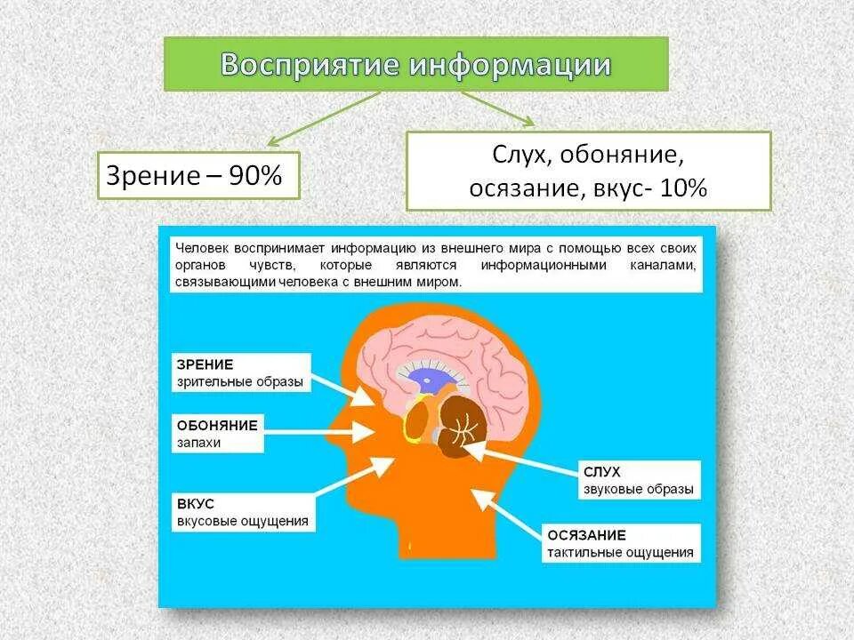 Дайте определение восприятия информации