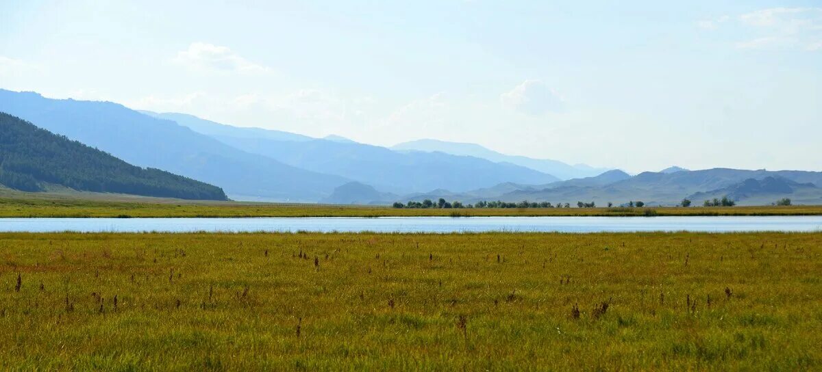 Канская степь Алтай. Ябоган Республика Алтай. Ябоганский перевал. Межгорные котловины Алтая. Загадка алтая без фильтра
