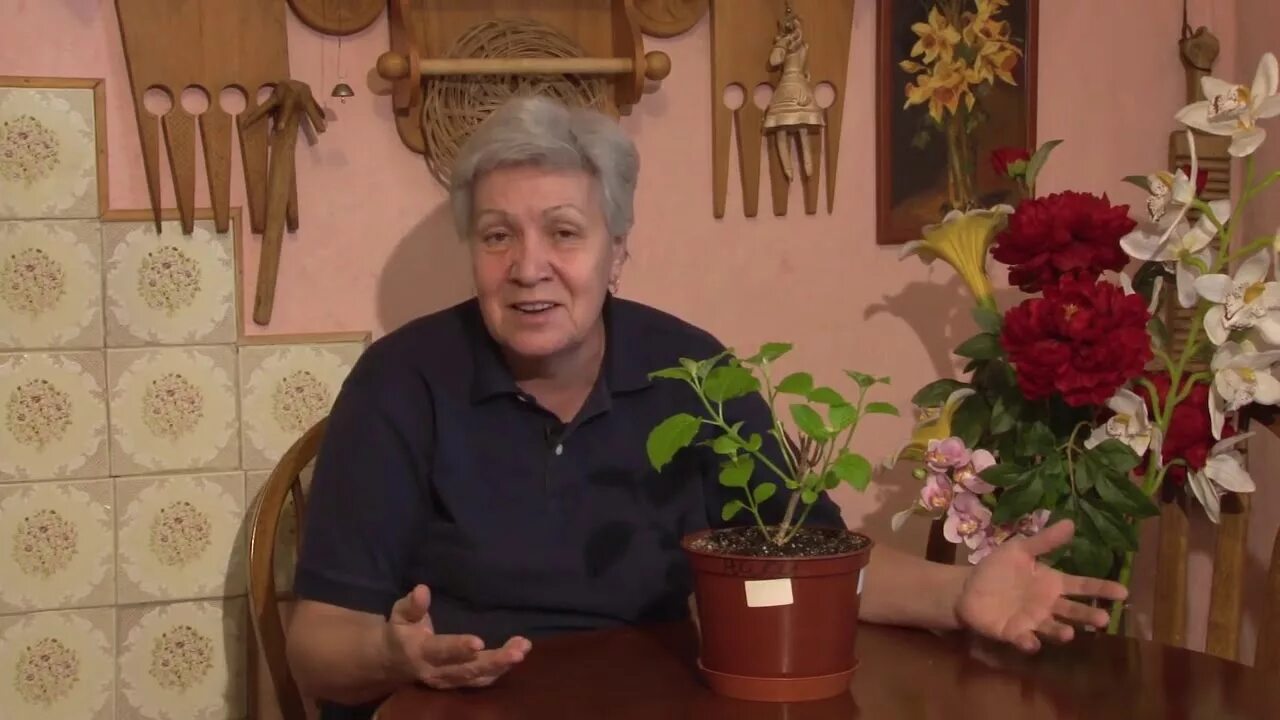 Т таня голова садовая помидоры. Т таня голова садовая. Голова садовая с тетей таней. Голова садовая с тетей таней. Голова садовая.