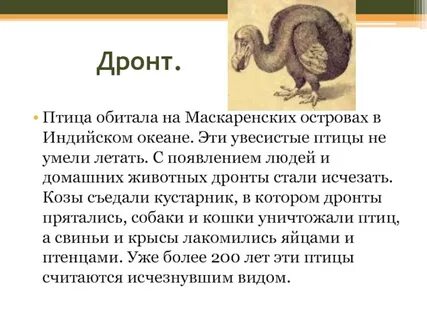 Жизнь под угрозой находятся