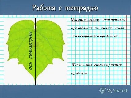 Симметрия рабочий лист 4 класс