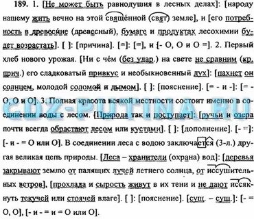 Не может быть равнодушия в лесных делах