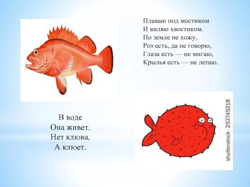 Слова рыба ответы. Загадка про рыбку для детей. Загадки про рыб для детей. Загадки про морских обитателей для детей. Загадки про рыб для дошкольников.