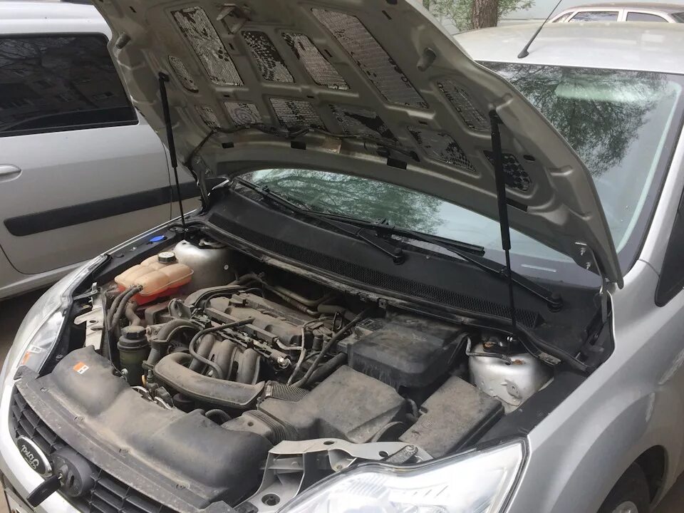 Капот c max. Капот c max