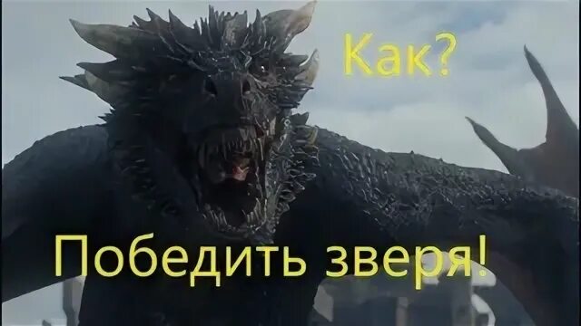 Победит зверя
