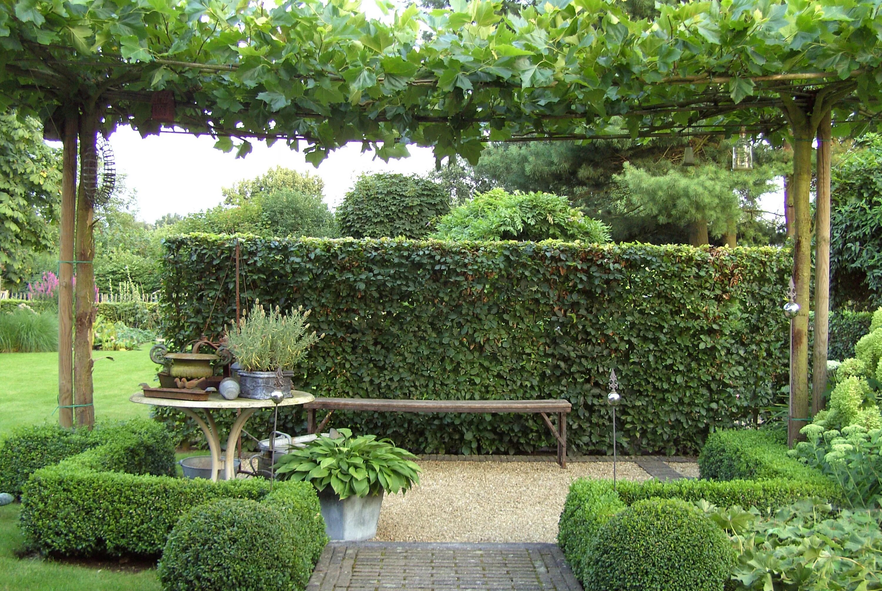 T i garden
