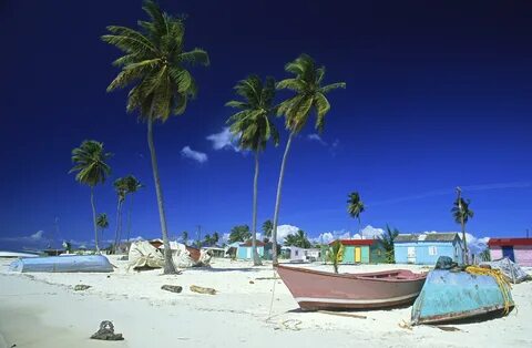 Only holiday