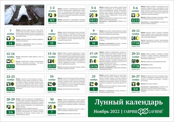 Лунный календарь на ноябрь 2022 года. Лунный календарь садовника на ноябрь 2022 г. Лунный посевной календарь на ноябрь 2022г для садовода и огородника. Дачный лунный календарь рекомендации на ноябрь 2022