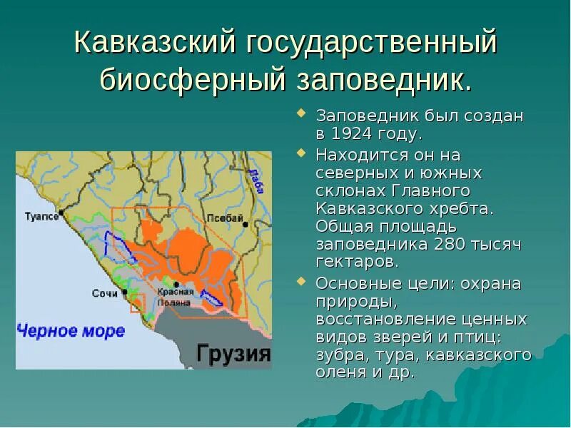 Кавказский биосферный заповедник площадь. Биосферный заповедник Краснодарского края. Заповедники Кавказа презентация. Кавказский заповедник информация.