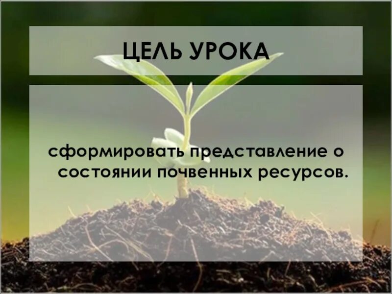 Почвенные ресурсы россии примеры Почвенно земельные ресурсы