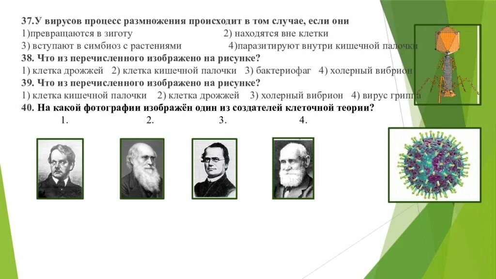 У вирусов процесс размножения происходит в том. У вирусов процесс размножения происходит. у вирусов процесс размножения происходит в том случае если они. у вирусов отсутствует процесс размножения если они.