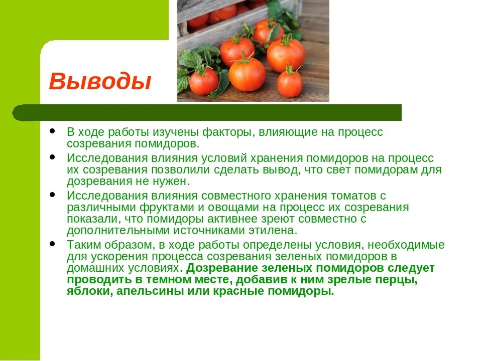 Почему не растут помидоры. Процесс созревания томатов. Вывод о помидорах. Заключение по проекту томаты. Проект на тему томат.