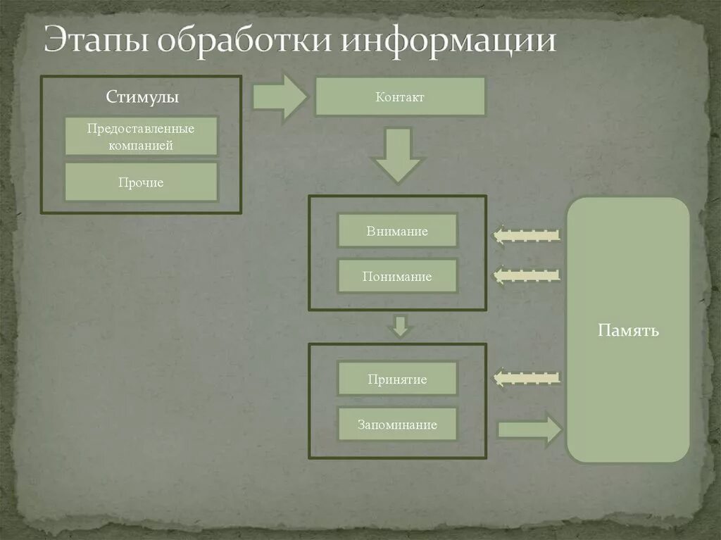 Этапы процесса обработки информации. Этапы переработки информации. Фазы обработки информации. Стадии обработки. Этап обработки и учета информации