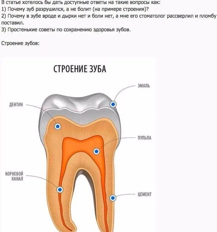 Почему зубы стоят так дорого. Почему зубы стоят так дорого