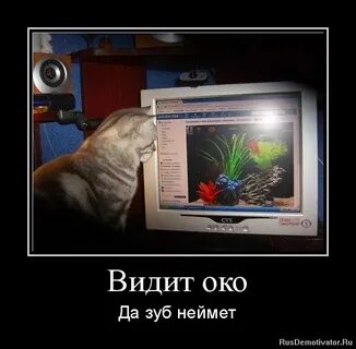 Око да это