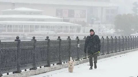 23 ноября в москве
