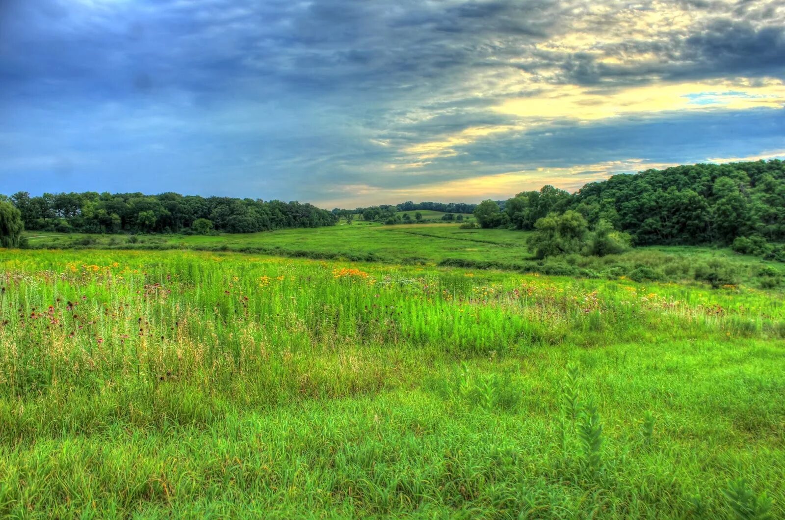 Natural area. Natural areas. nature area. nature area 3d model like real.