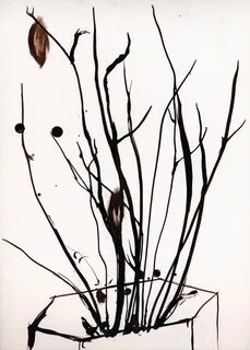 Plants dead