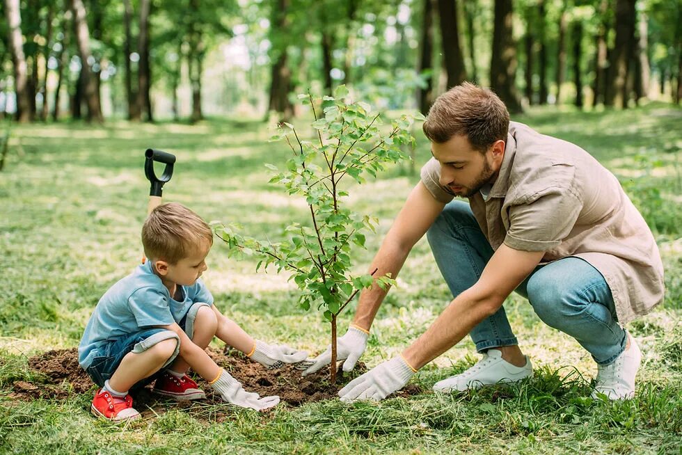 Посадка деревьев. Люди сажают деревья. Дети сажают деревья. Дети и природа. Nature take care