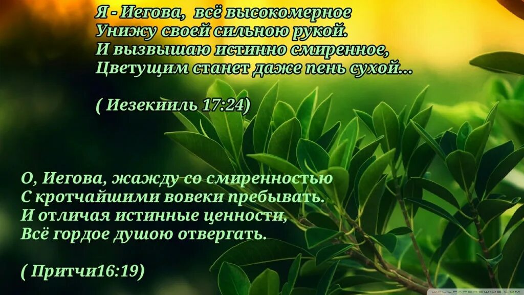 Притчи соломона. Притчи иеговы. Притчи царя соломона. Притчи соломона о друге. Притчи соломона цитаты.