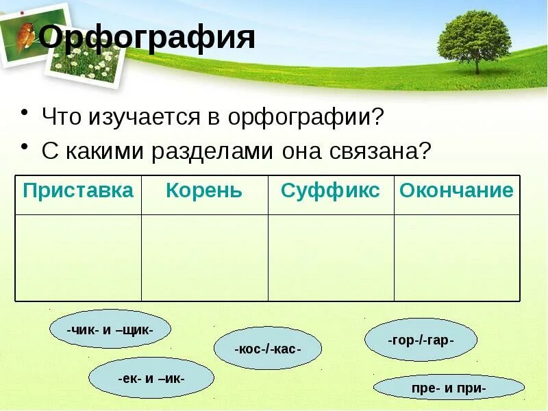 Нужно ли изучать орфографию сообщение 6 класс