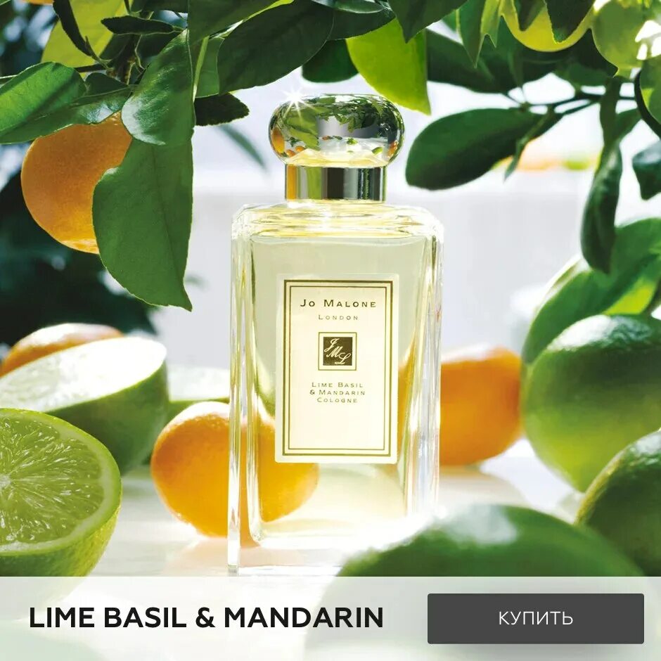 Одеколон lime basil mandarin. Одеколон lime basil mandarin. Одеколон lime basil mandarin. Одеколон lime basil mandarin. Jo malone lime basil mandarin 100 ml.