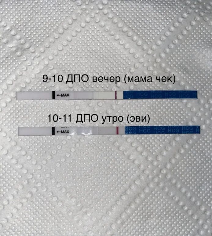 Тест на 5 отзывы. Мама тест 10 ДПО. Мама тест 11 ДПО. 9-10 ДПО тест. 9 ДПО тест мама чек.