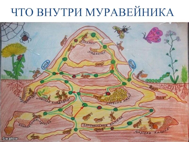 Карты лето в городе