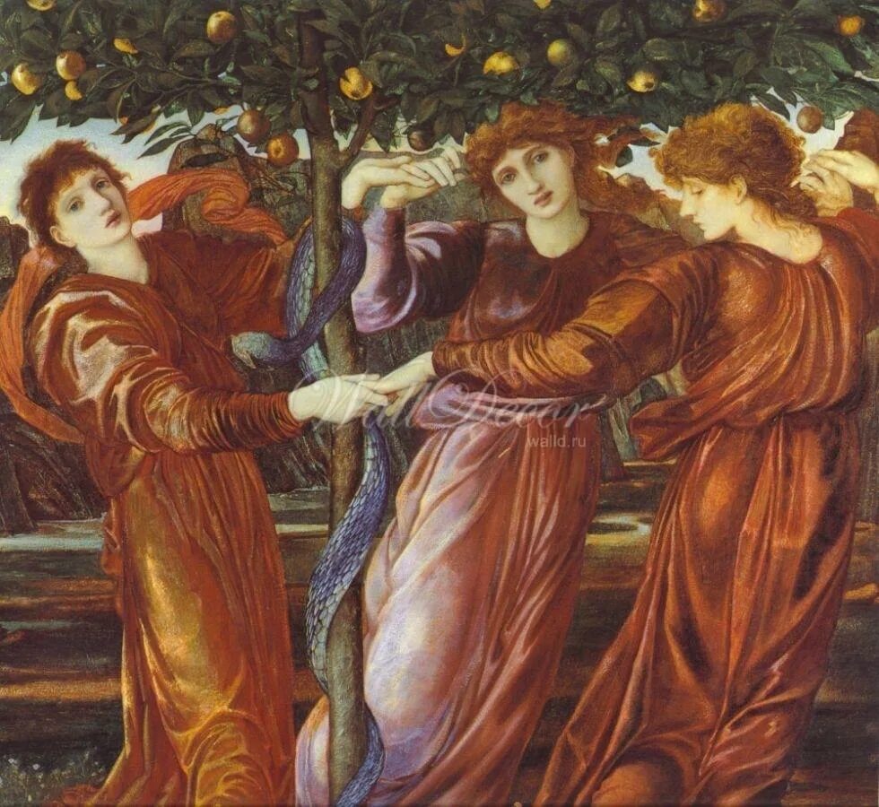 Кому геракл подарил яблоки
